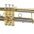 Trasporto musicale : strumenti in Sib : trasposti